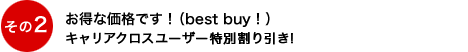 お得な価格です